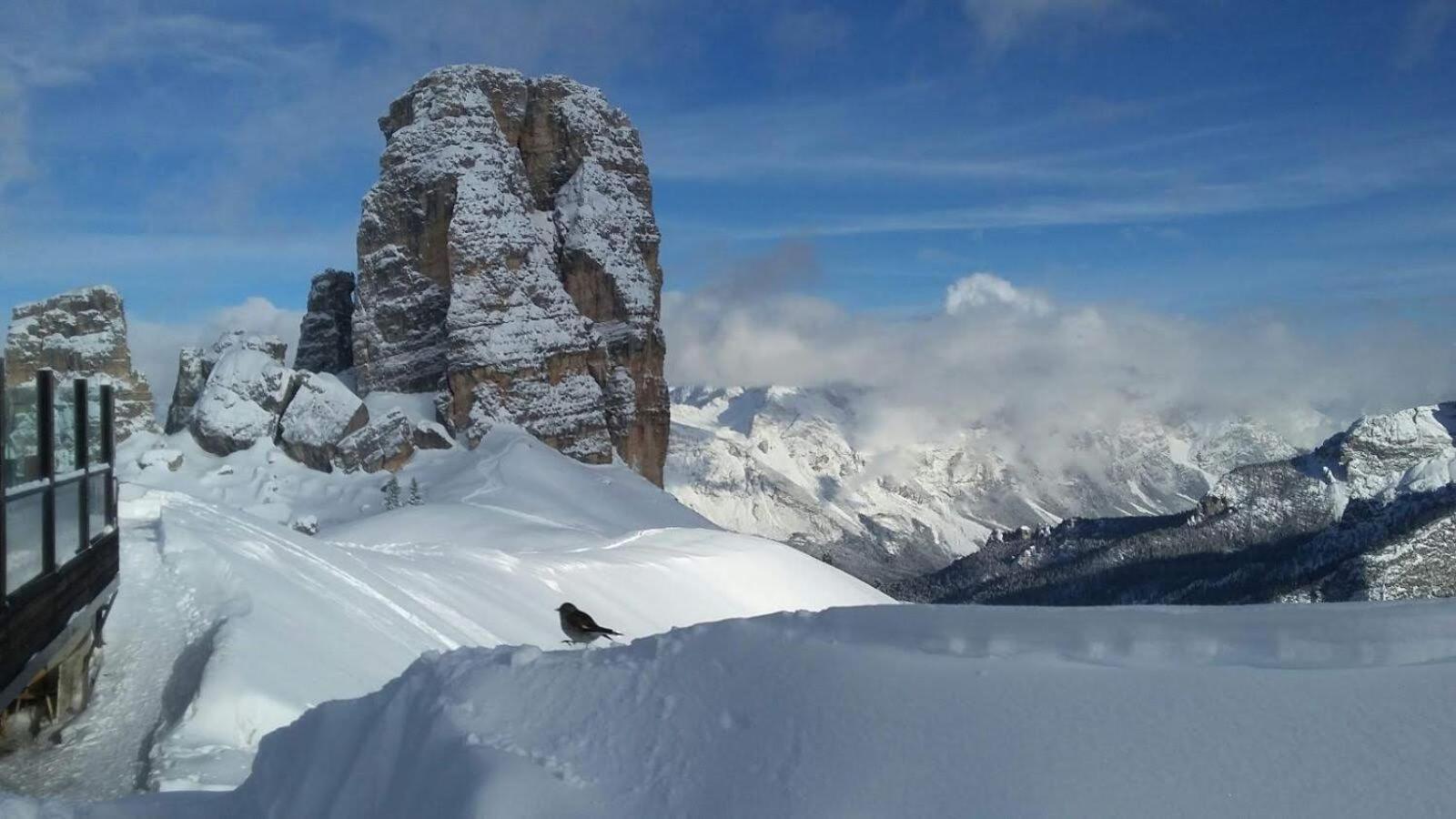 Ferienwohnung Casa Elena Pieve di Cadore Exterior foto