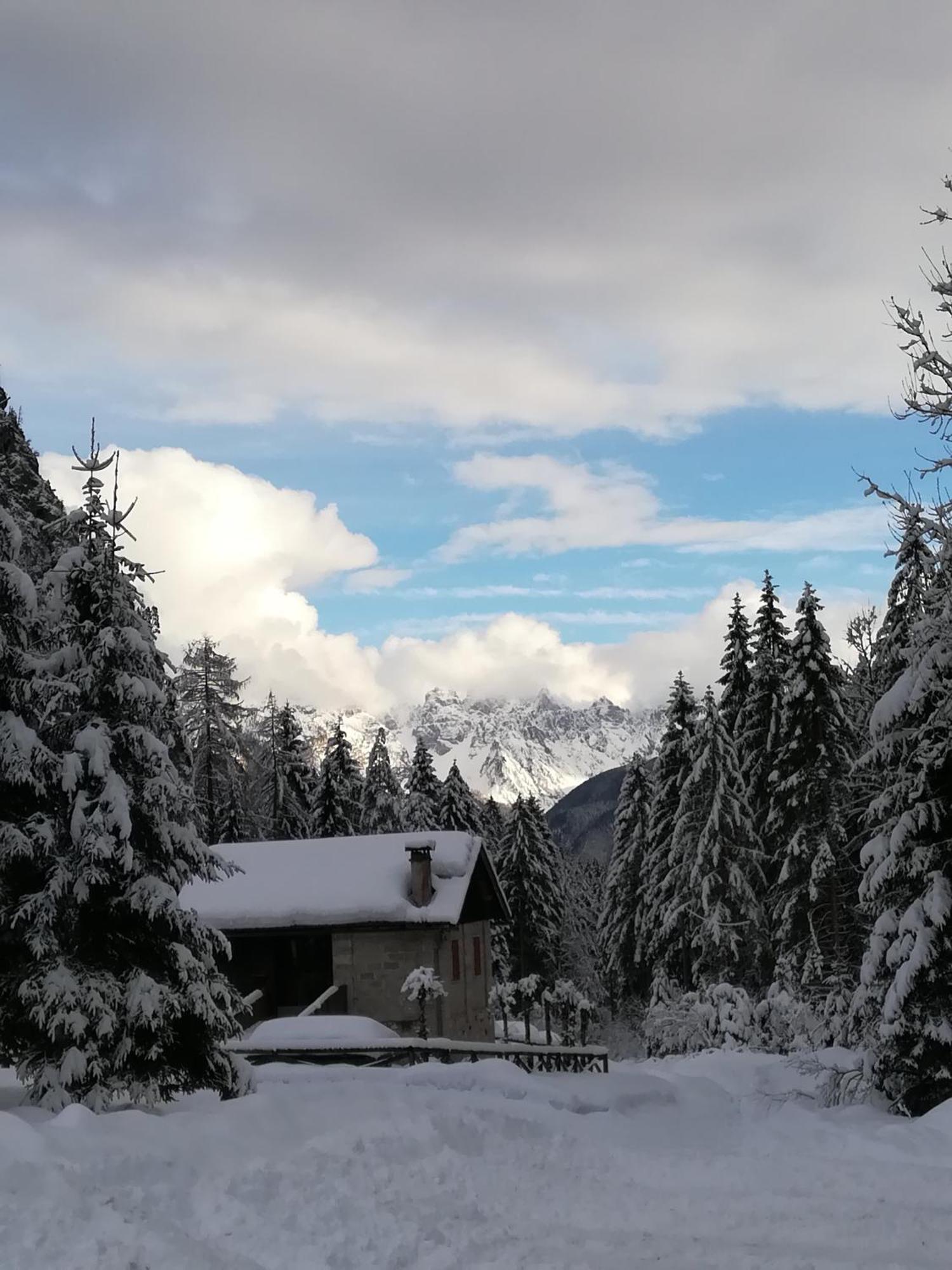 Ferienwohnung Casa Elena Pieve di Cadore Exterior foto